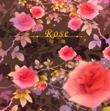 好看鲜艳的玫瑰花怎么绘画 PS玫瑰的插画教程 细致分解的插画素材