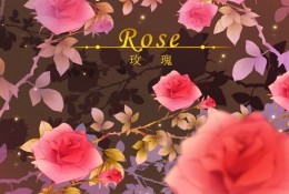 好看鲜艳的玫瑰花怎么绘画 PS玫瑰的插画教程 细致分解的插画素材