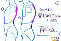 人体躯干怎么画   躯干的简单画法   男性躯干的简易插画绘画步骤教程