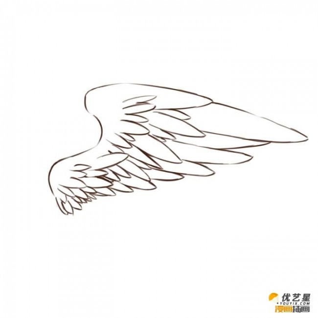 鸟儿的翅膀的简单绘画步骤 可爱鸟儿的翅膀的漫画插画画法教程_www.