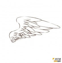 鸟儿的翅膀的简单绘画步骤   可爱鸟儿的翅膀的漫画插画画法教程