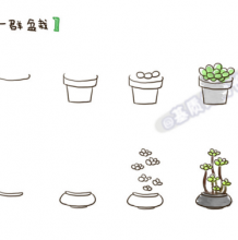 常见植物盆栽最简单的简笔画画法 如何简单的画出好看的盆栽植物