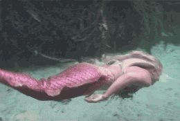 怎么画好美人鱼 美人鱼的身体结构详解图片 包含骨骼和肌肉展示
