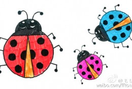 七星瓢虫怎么画 可爱的瓢虫简笔画 瓢虫卡通画画法