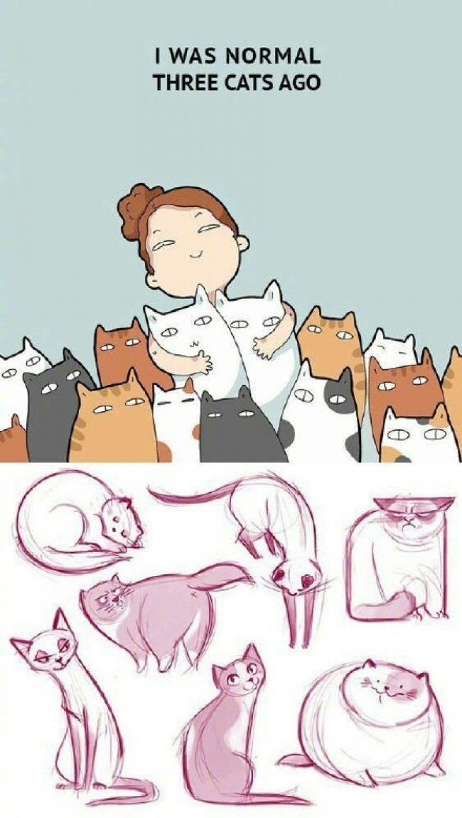快乐小猫咪q版卡通画画法 猫咪手绘教程 猫咪简笔画儿童画