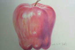 苹果蛇果的彩铅画手绘教程图片 好看逼真的蛇果怎么画 写实苹果的画法