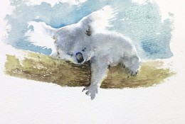 可爱树袋熊水彩画手绘教程 树袋熊的画法 树袋熊水彩画怎么画