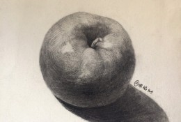 苹果的素描画手绘教程图片 苹果素描画怎么画 苹果素描的画法