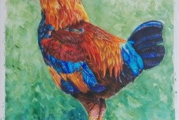 大公鸡彩铅画手绘教程图片 公鸡的彩铅画怎么画 公鸡的彩铅画法