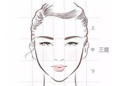 日漫人物角色脸型与脸部结构演示讲解画法图片 脸部五官比例结构