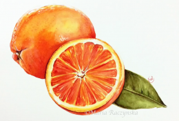 唯美多汁的水果橙子水彩手绘视频教程 夏季清新水彩绘