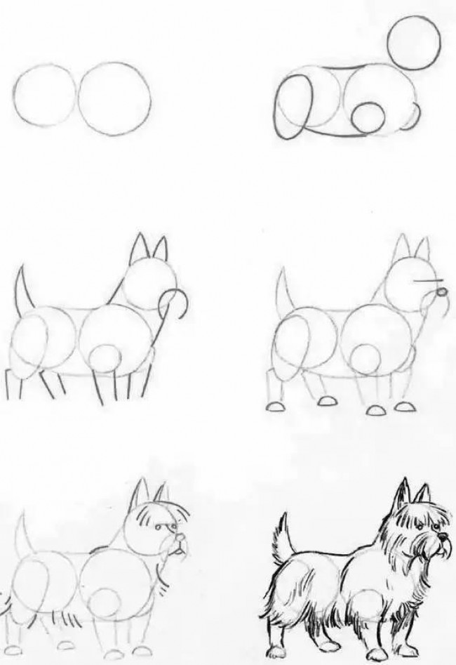 注意！一大批动物绘画手稿来袭，快收藏吧。_www.youyix.com