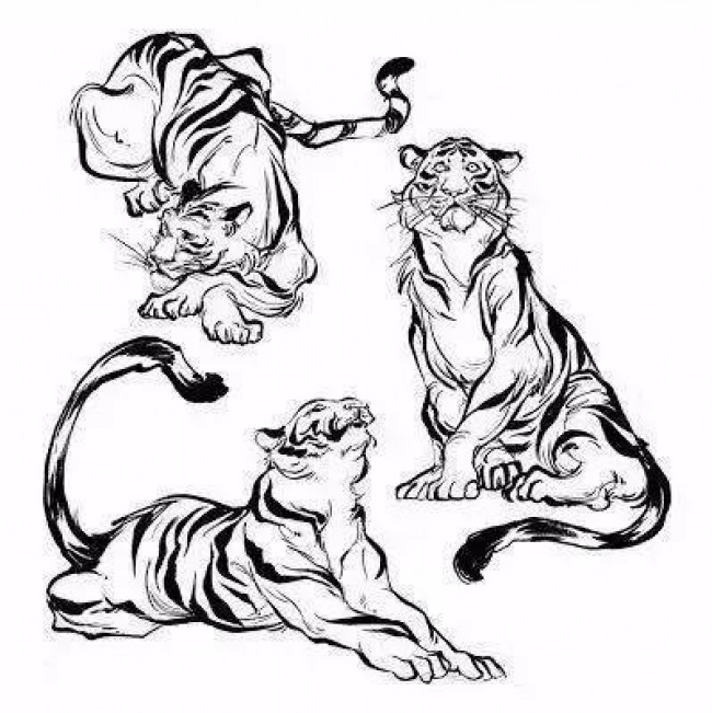 注意！一大批动物绘画手稿来袭，快收藏吧。_www.youyix.com