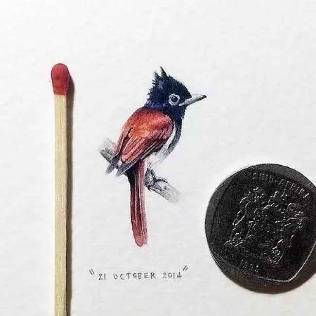 水彩和彩铅画出的袖珍画，你能想象它有多小？_www.youyix.com