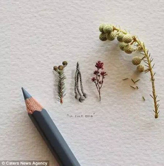 水彩和彩铅画出的袖珍画，你能想象它有多小？_www.youyix.com