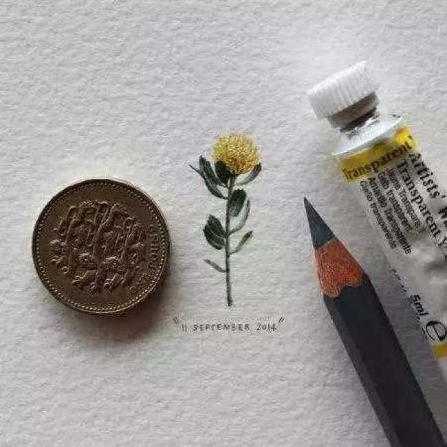 水彩和彩铅画出的袖珍画，你能想象它有多小？_www.youyix.com