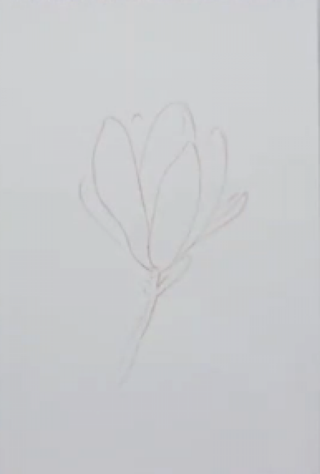 色粉搭配彩铅绘制唯美花朵 ，美的不可言说_www.youyix.com