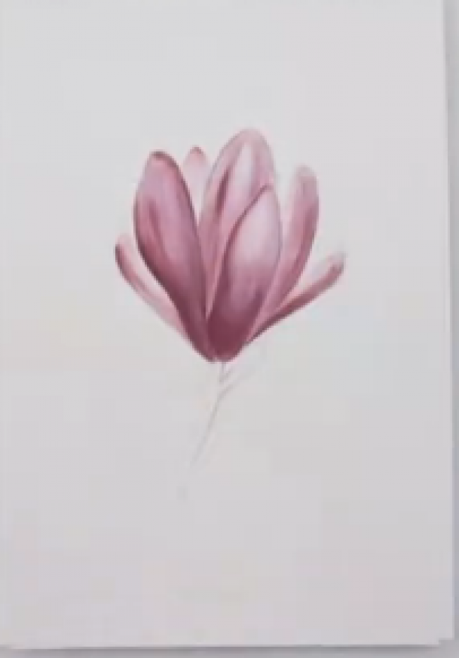 色粉搭配彩铅绘制唯美花朵 ，美的不可言说_www.youyix.com
