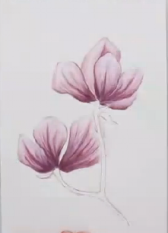 色粉搭配彩铅绘制唯美花朵 ，美的不可言说_www.youyix.com
