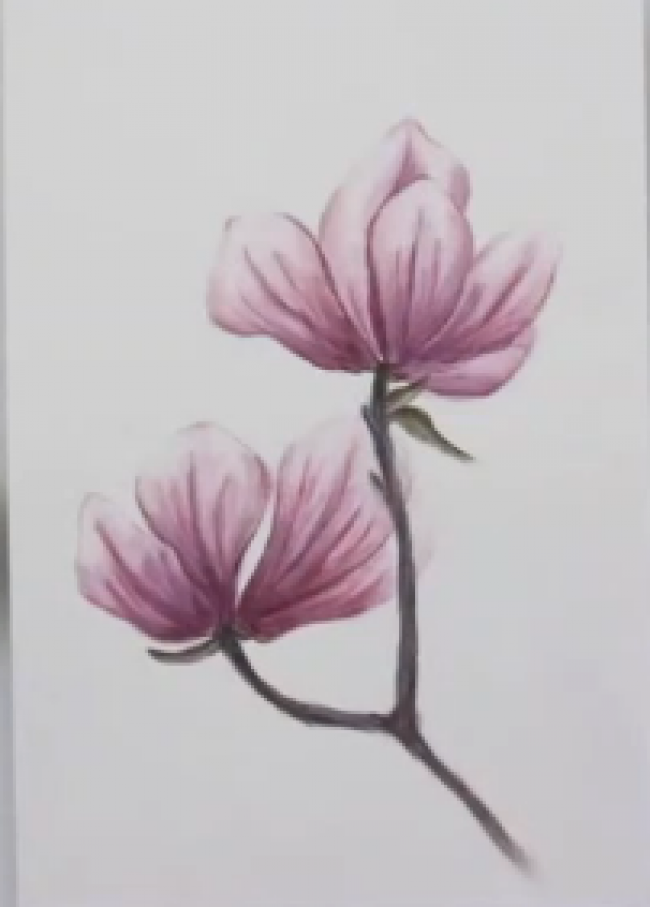 色粉搭配彩铅绘制唯美花朵 ，美的不可言说_www.youyix.com