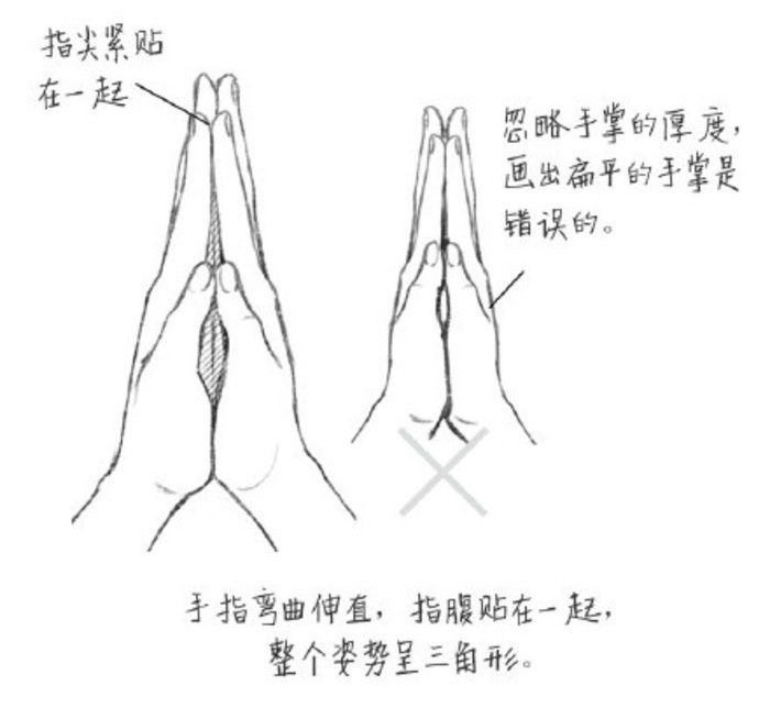 女生十指紧扣和双手合十手部特写和绘画技巧 祈祷姿势