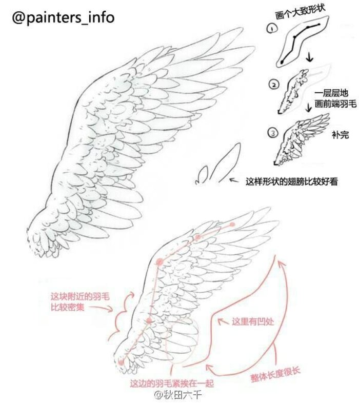 怎么画翅膀?天使的翅膀绘画教程 技巧讲解