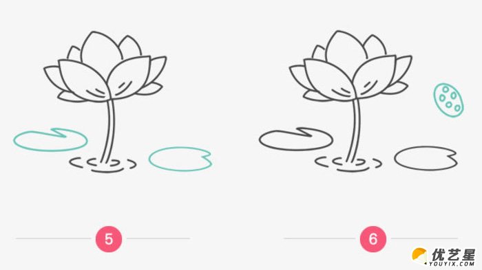 简单的荷花简笔画画法 莲花的画法卡通画手绘教程