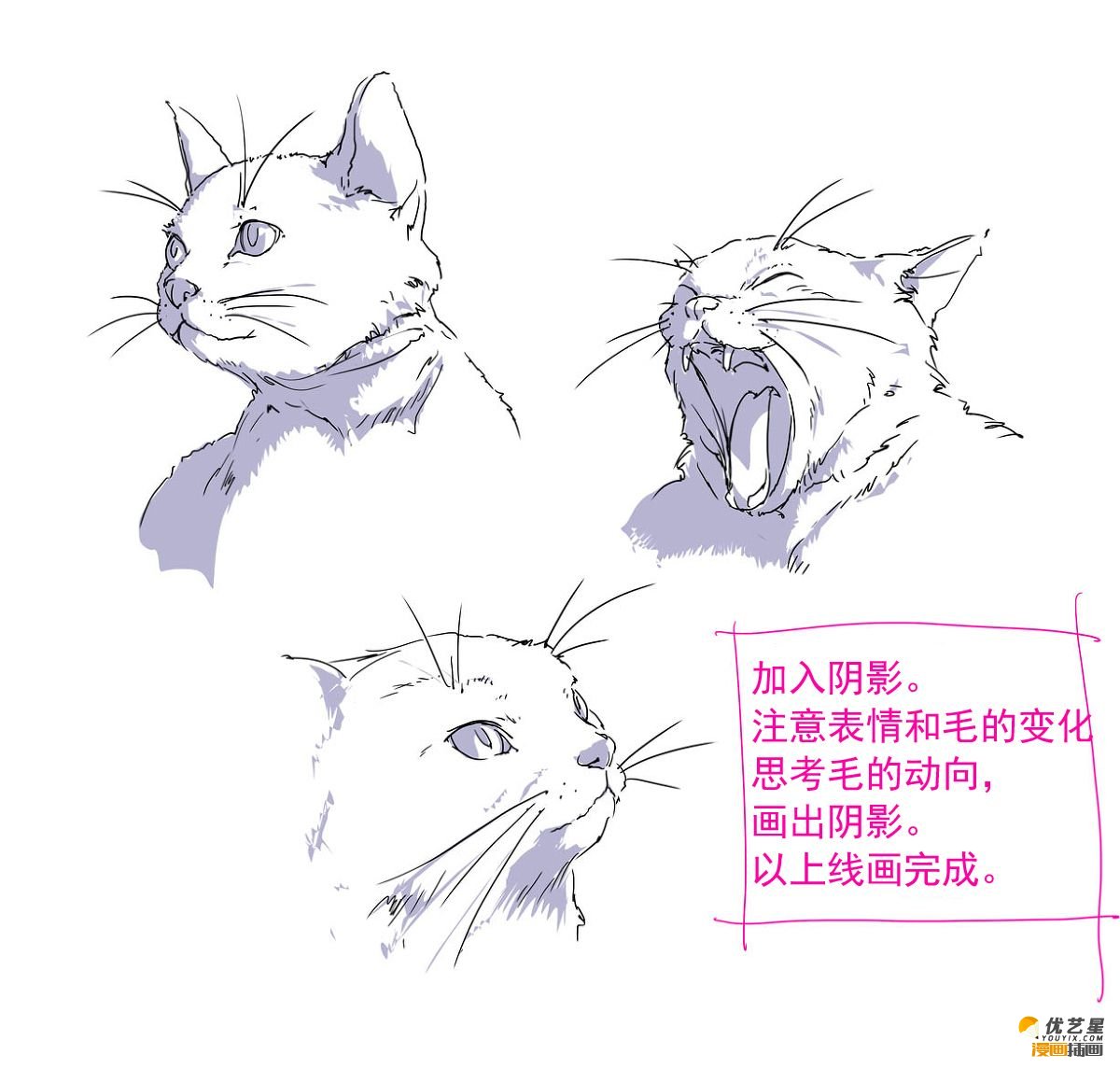 猫-铅笔画【第二弹】|纯艺术|绘画|Jes琪 - 原创作品 - 站酷 (ZCOOL)