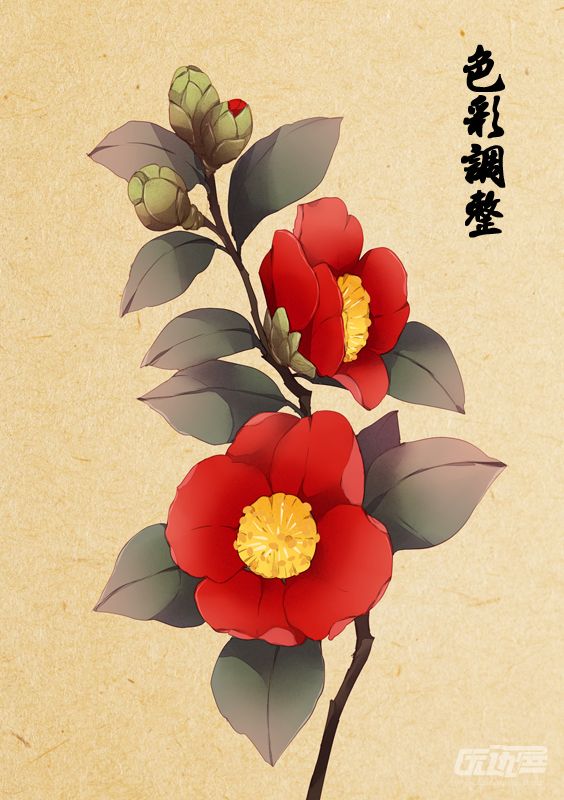 唯美逼真的茶花手绘与ps结合绘画教程 茶花怎么画 古风风格的茶花绘画