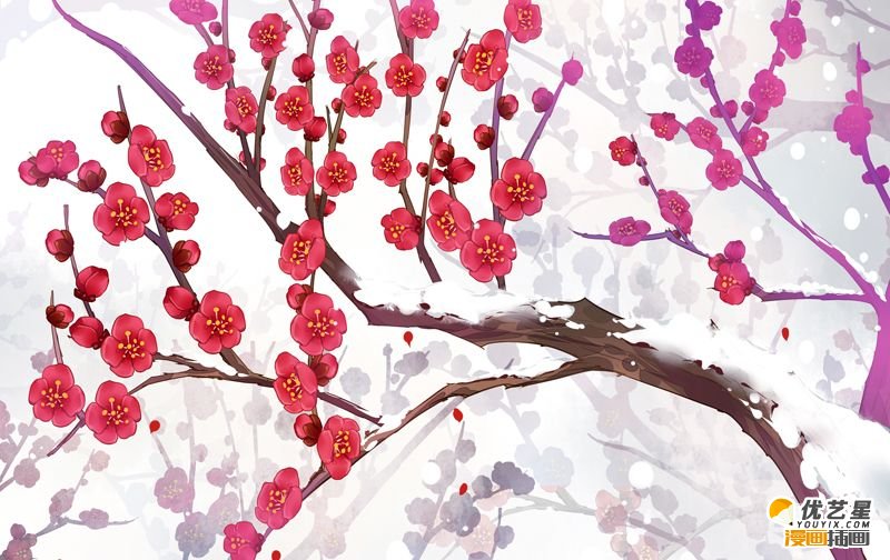 一颗红艳的的寒梅怎么画 带线稿和上色的插画素材 详细的梅花教程
