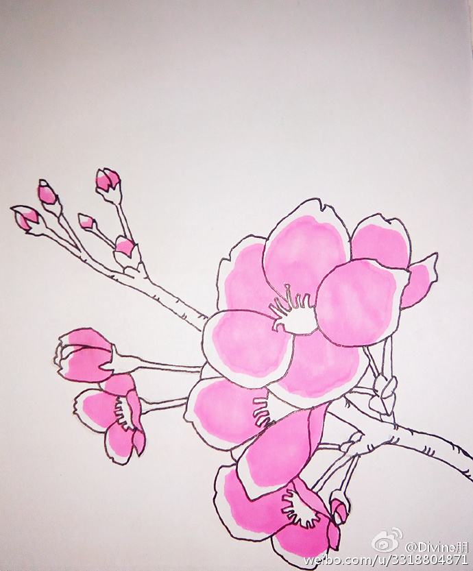 桃花简笔画教程图片 水彩上色桃花的画法 好看的桃花怎么画