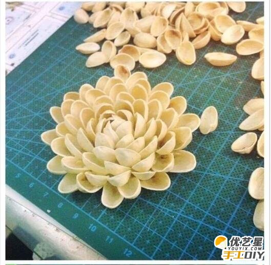 开心果壳手工制作成漂亮的花朵的制作教程 创意diy手工改造制作教程_www.youyix.com