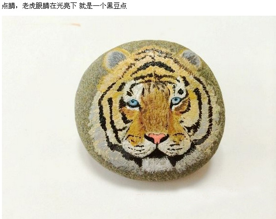 石头上的老虎头画像手工教程图解 形象逼真的老虎头石像 高超的画术上色术_www.youyix.com