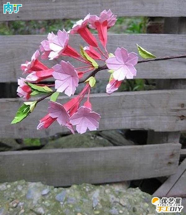 美丽漂亮的樱花怎么折 樱花的简单折纸步骤图纸教程 手工diy折纸樱花_www.youyix.com