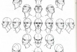 人体头部各个角度的展示和结构分解图