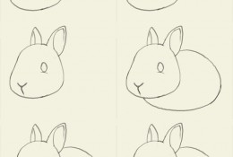 兔子简笔画手绘教程 小兔子怎么画？