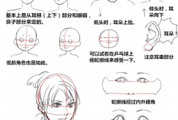 各种人物脸部的简单绘画教程  男女不同年龄阶段脸部平衡素材漫画绘制过程教