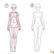 从起笔演示女性人体绘画步骤 女性人体身体比例结构图 包含头部特写