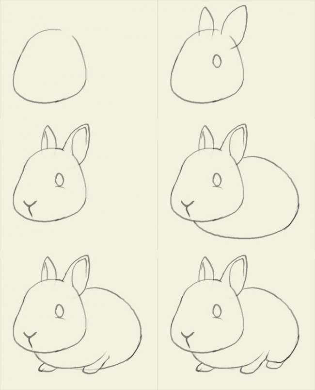 兔子简笔画手绘教程 小兔子怎么画?