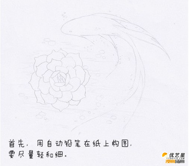 教你绘画一条细致的红金鱼教程 带紫珍珠的红金鱼绘画素材_www.youyix.com