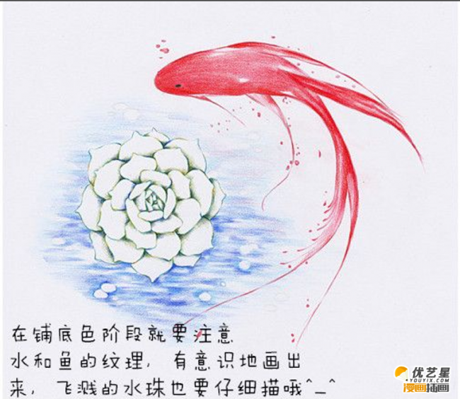 教你绘画一条细致的红金鱼教程 带紫珍珠的红金鱼绘画素材_www.youyix.com