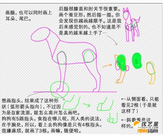 可爱萌宠狗狗的素材漫画绘画步骤教程_www.youyix.com