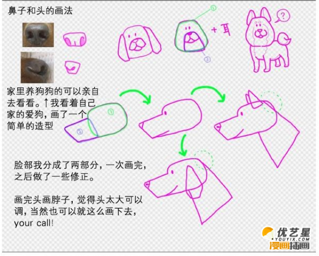 可爱萌宠狗狗的素材漫画绘画步骤教程_www.youyix.com