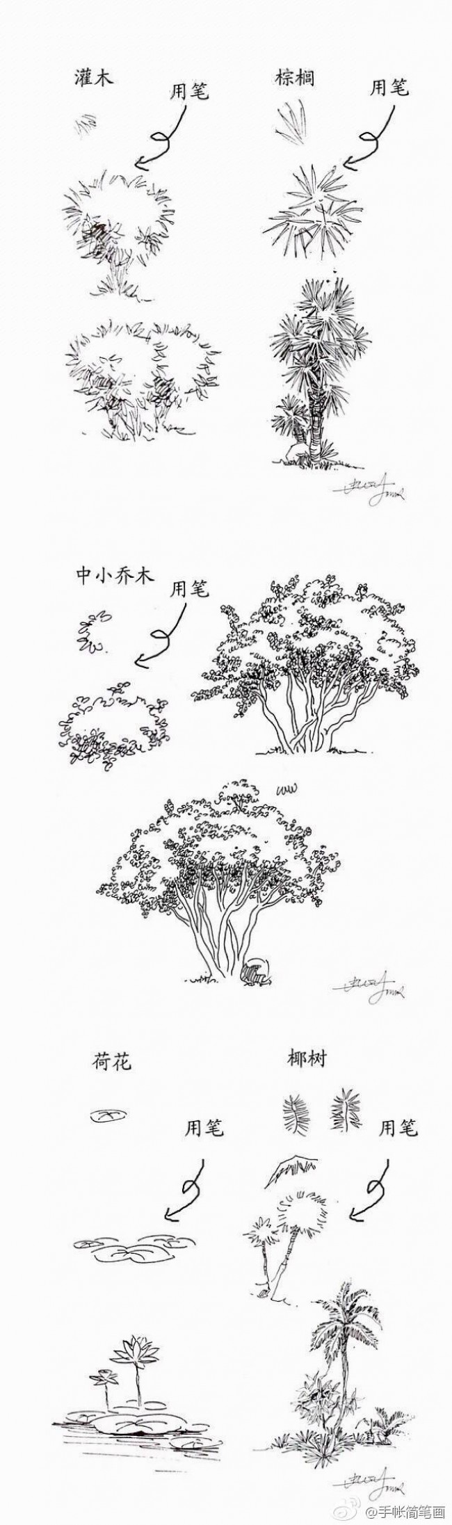 常见植物的线稿简笔画素材 带植物名称 可以作为景观设计线描手法素材_www.youyix.com