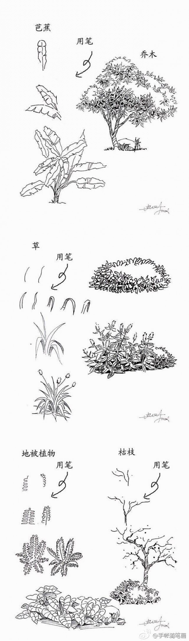 常见植物的线稿简笔画素材 带植物名称 可以作为景观设计线描手法素材_www.youyix.com