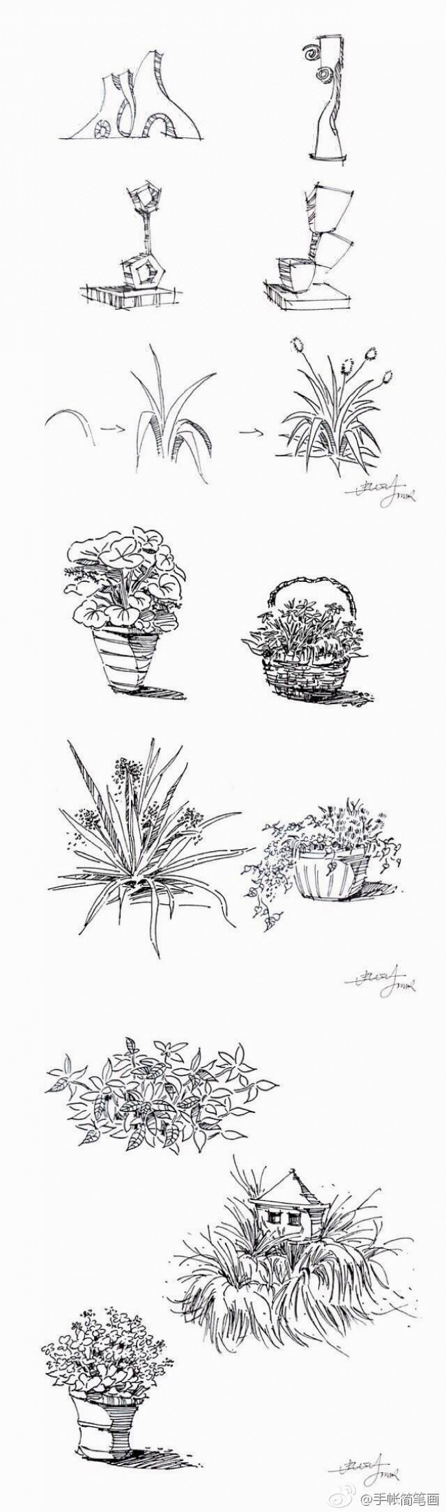 常见植物的线稿简笔画素材 带植物名称 可以作为景观设计线描手法素材_www.youyix.com