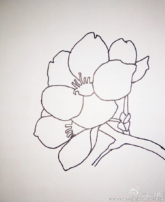 桃花简笔画教程图片水彩上色桃花的画法好看的桃花怎么画