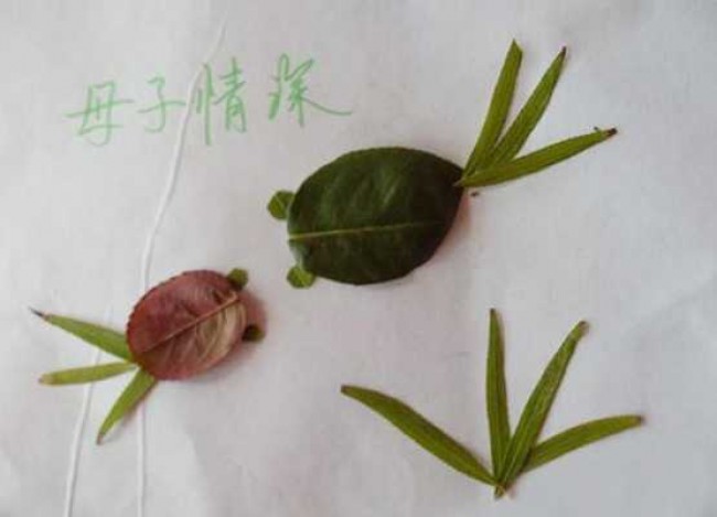 优秀儿童树叶手工拼贴画各种动物10张 幼儿园作业 树叶拼贴画_www.youyix.com