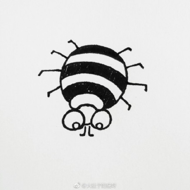 蜘蛛爬在网上简笔画教程图片 简笔画蜘蛛和蜘蛛网怎么画 蜘蛛的画法_www.youyix.com