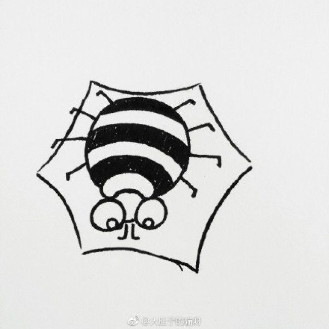 蜘蛛爬在网上简笔画教程图片 简笔画蜘蛛和蜘蛛网怎么画 蜘蛛的画法_www.youyix.com